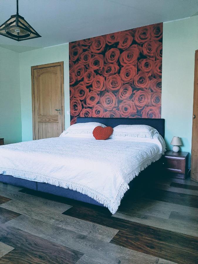 Irene Apartments Druskininkai Bagian luar foto